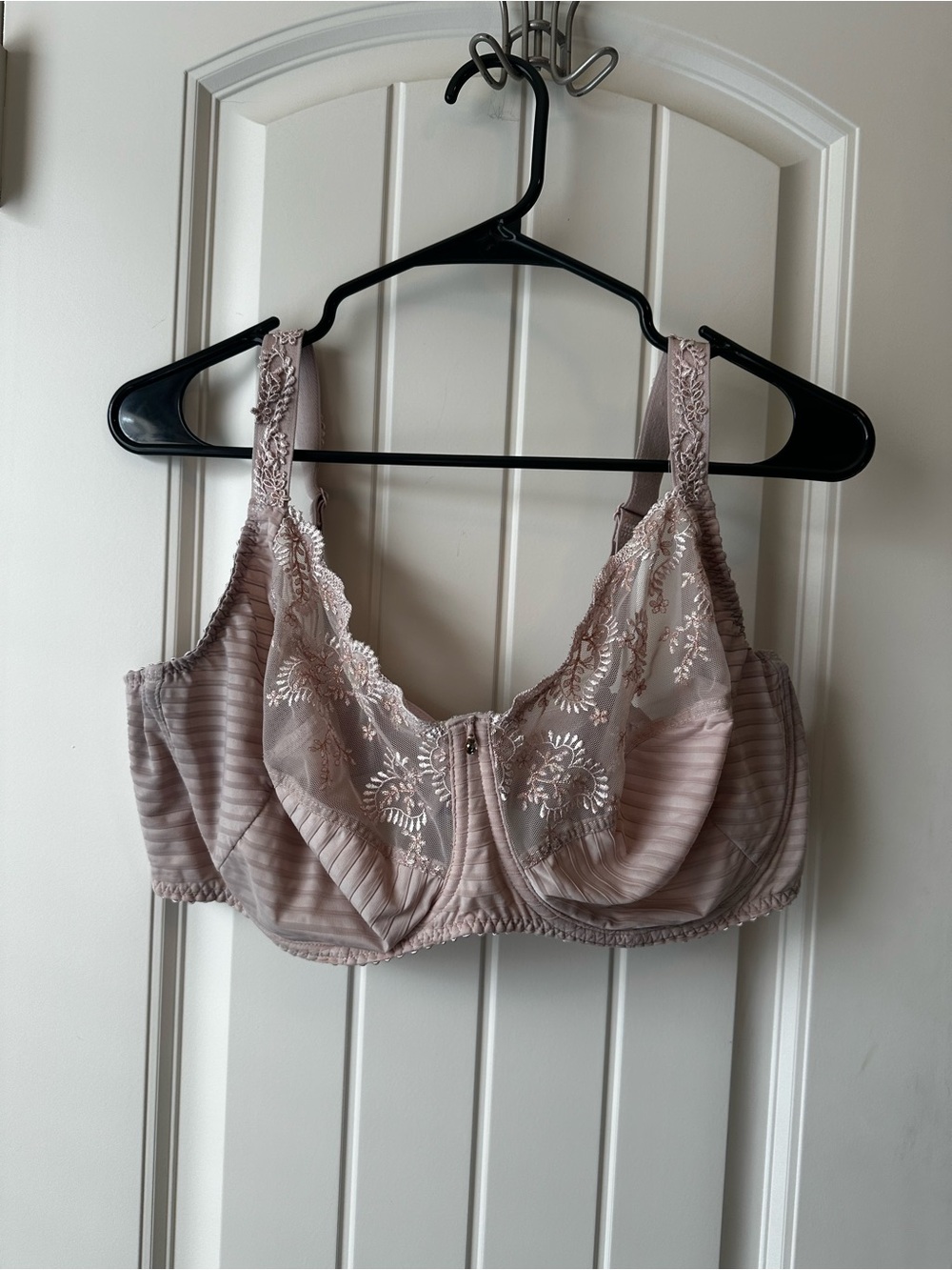 Embroidered Underwire Semi-sheer Bra in Light Blush size 44F